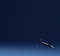 Boeing 737-8AS